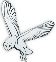 Herb Pedersen